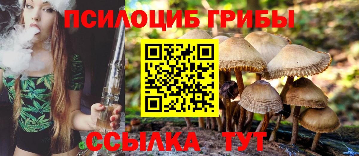 Псилоцибиновые грибы Psilocybe  Вход с VPN  Лосино-Петровский 